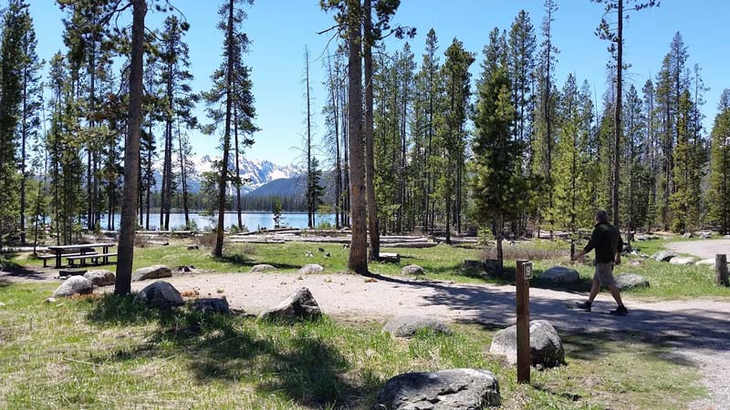Camp host or visitor at Little Redfish Lake Campground, Idaho, with tall trees, the lake, and Sawtooth Mountains in the background, showing the scenic setting of a Workamping site.