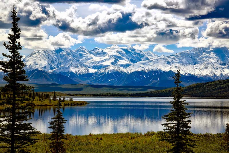 Denali National Park lake view with large snow-capped mountians in the distance.