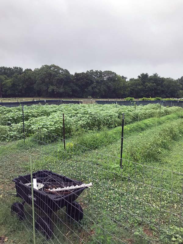 img 1719 002 rotated