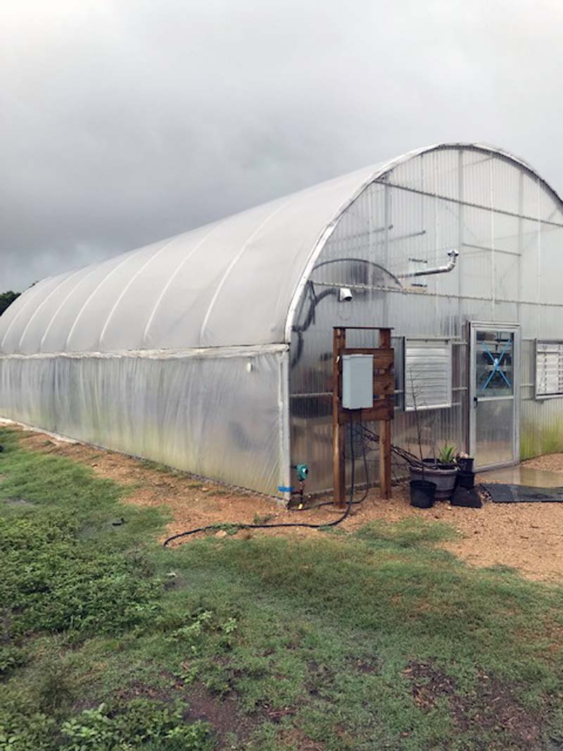 img 1716 002 rotated