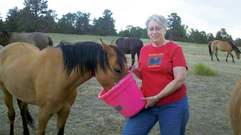 Experienced Workampers