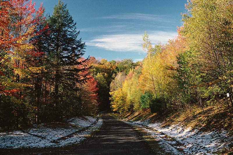 Scenic snowy road through a colorful forest, combining winter snow with bright fall foliage.