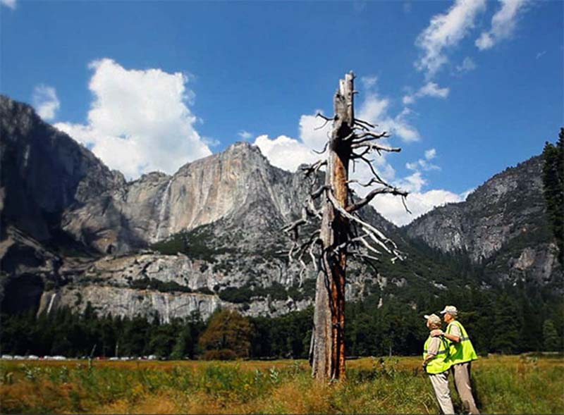 Workamping couple Henk and Georgia Parsons enjoying a mountain view near a barren tree at a National Park.
