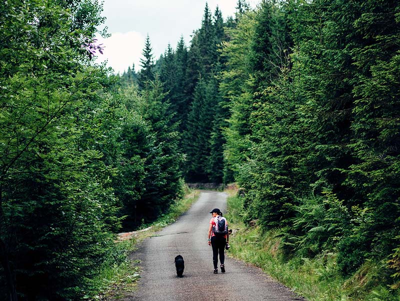 woman walking with dog through campground