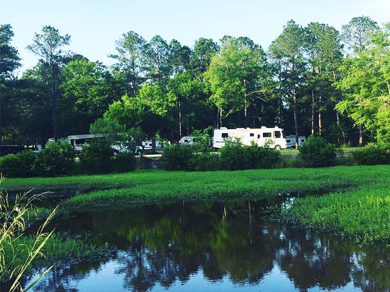 RVs parked in campground