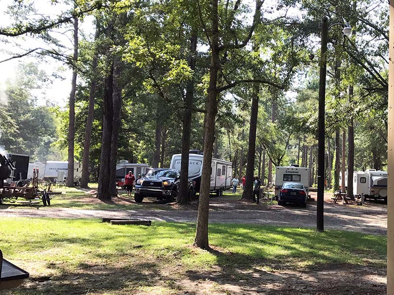 RVs parked in campground