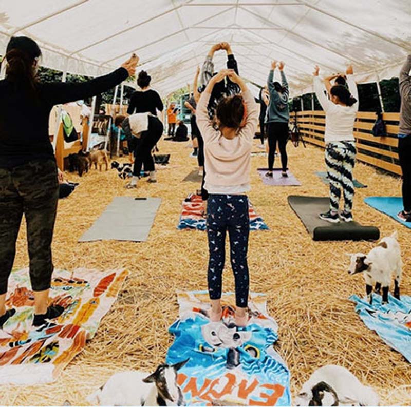 lemos farm yoga with the goats