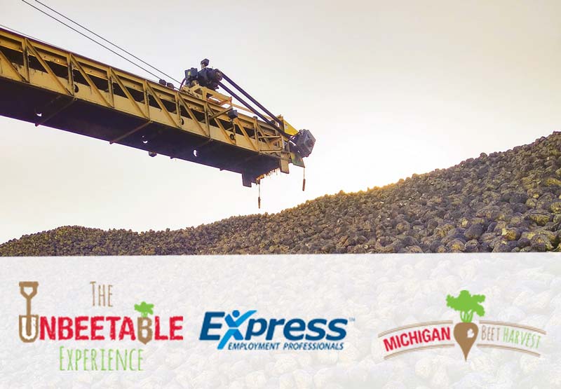 Piler machine beside a towering mound of sugar beets, showing the equipment used by Workampers during the Michigan Beet Harvest with Express Employment.