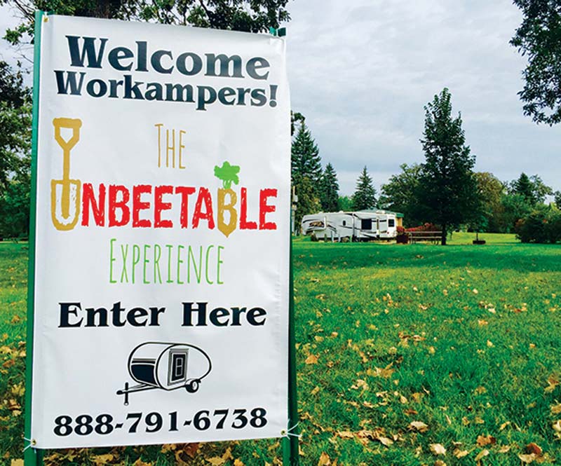 sugarbeetphoto2 2016 w