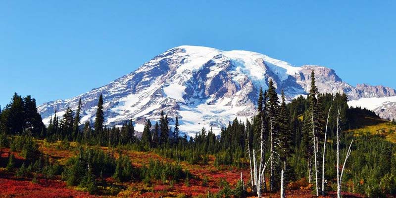 mount rainier fall