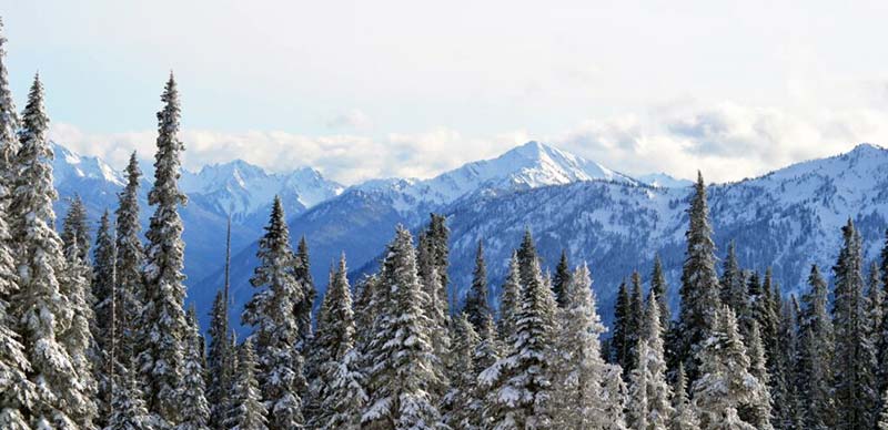 Snowy Mountain Range