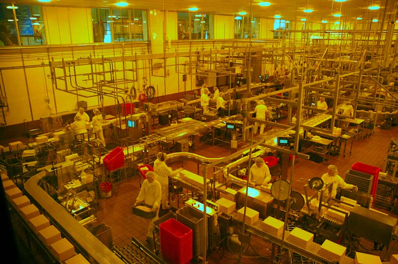 workers inside tillamook creamery cheese factory