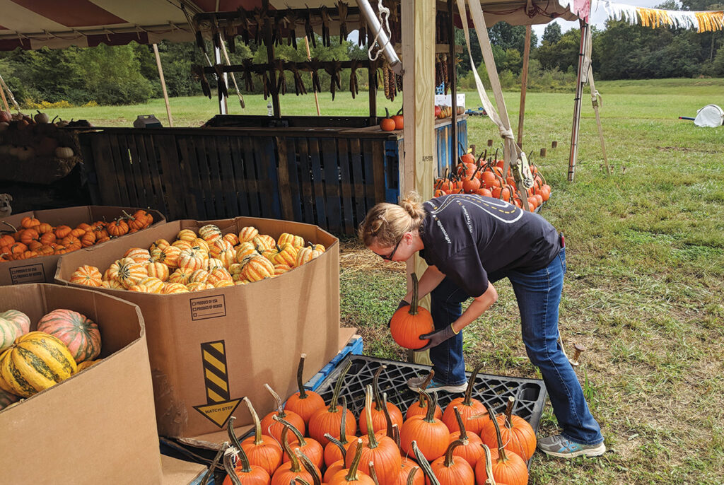 Natalie Henley organizing pumpkins for sale