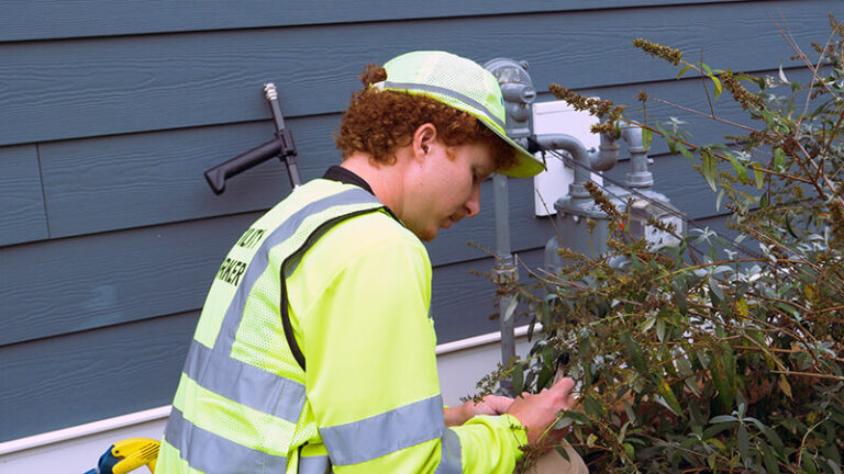 Mobile Workamping Jobs With Southern Cross - Workamper News