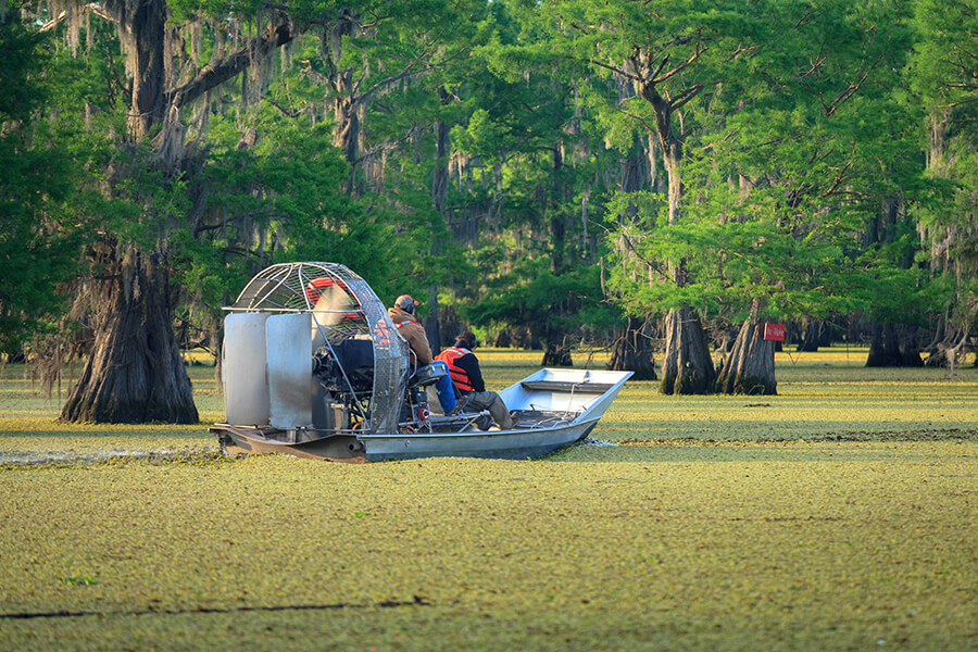 airboat in everglades