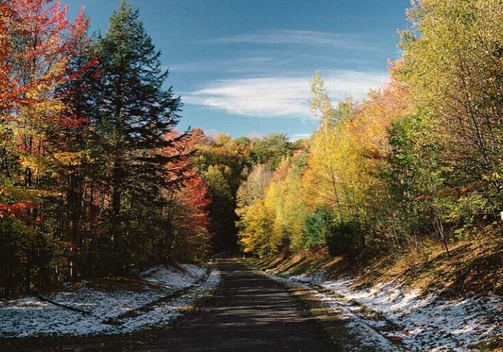 Scenic snowy road through a colorful forest, combining winter snow with bright fall foliage.