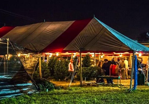 Christmas Tree Lot