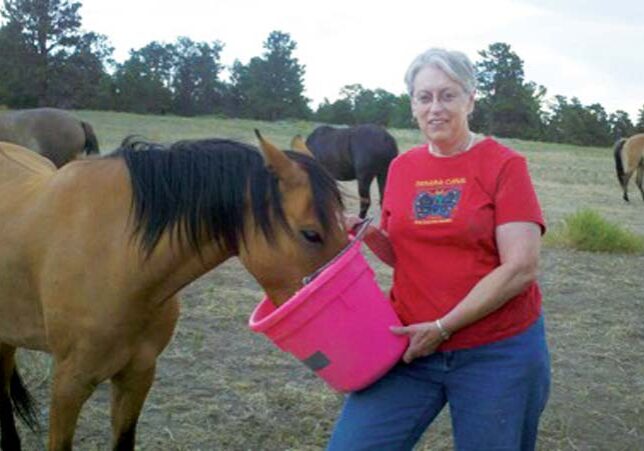 Workamper feeding horse from a pink bucket.