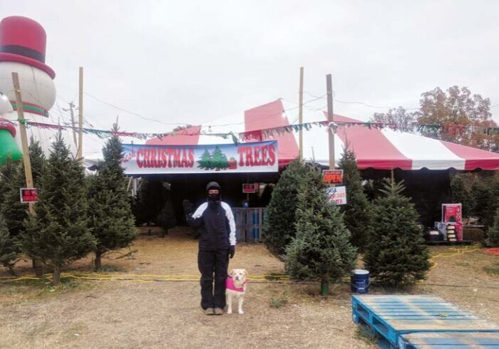 Worker At Christmas Tree Lot