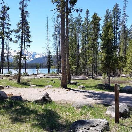 Camp host or visitor at Little Redfish Lake Campground, Idaho, with tall trees, the lake, and Sawtooth Mountains in the background, showing the scenic setting of a Workamping site.