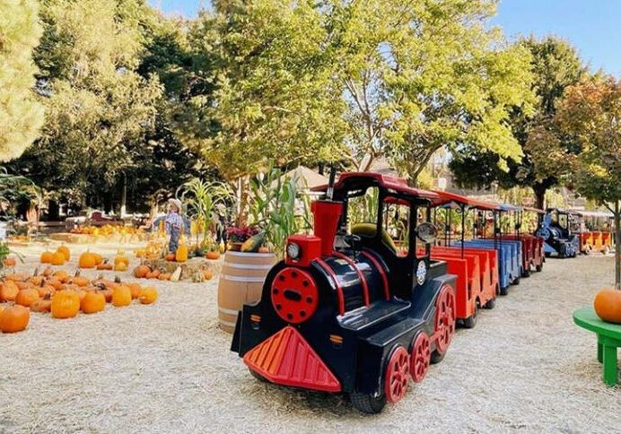 Lemos Farm’s miniature train passing through a western-themed town, highlighting a popular attraction where Workampers help create memorable guest experiences.