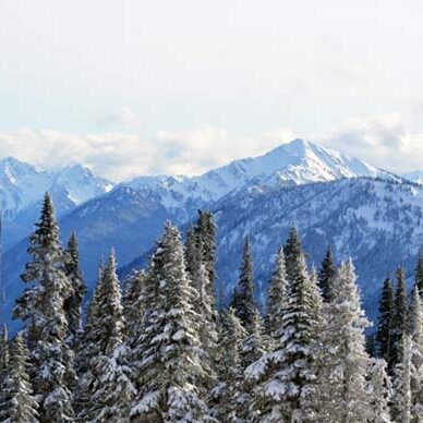 Snowy Mountain Range