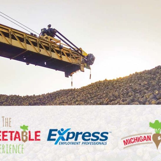 Piler machine beside a towering mound of sugar beets, showing the equipment used by Workampers during the Michigan Beet Harvest with Express Employment.